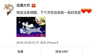 一些不推荐的组合（这是因为…嗯…）