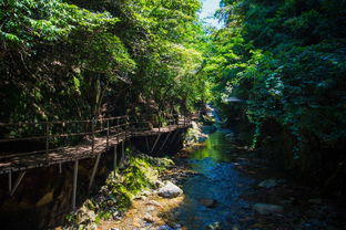 中铁溪山，到底是啥来头？