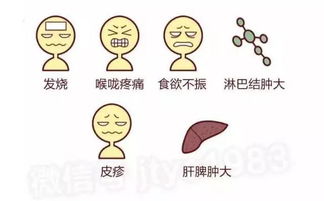 2. 亲亲的时候到底在交换啥