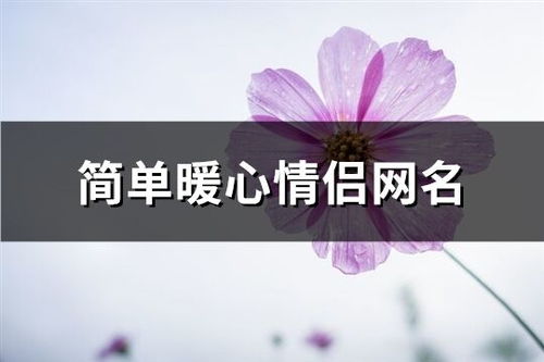 简单暖心的网名叫什么？