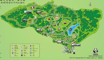 熊猫基地：从噪声到萌萌哒的奇幻旅程