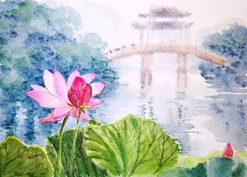 “小暑传统习俗，夏日爆款风情盘点”