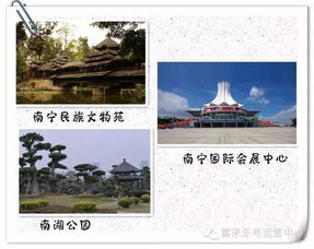 2. 了解当地文化：