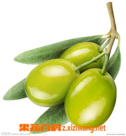 孕妇梦见拿橄榄是什么预兆或含义？