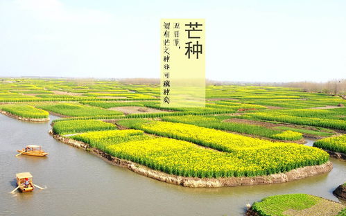 芒种夏至之间的玄机：细数 6 月上的良辰吉刻