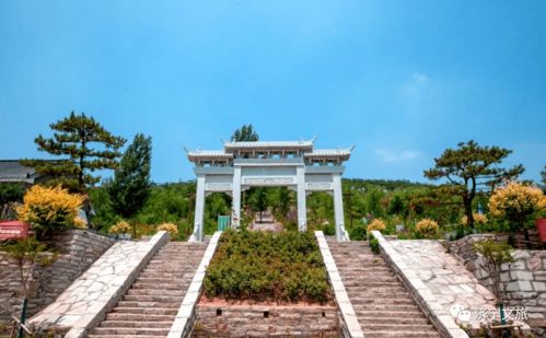 避雷指南：如何在荒诞中幸存