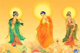 哪些生肖的人比较偏爱佛系恋爱态度？