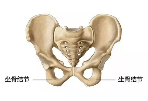 屁股大能生儿子？老祖宗的惊天秘密