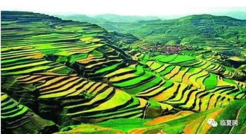 庄浪：黄土高坡的迷惑行为大赏