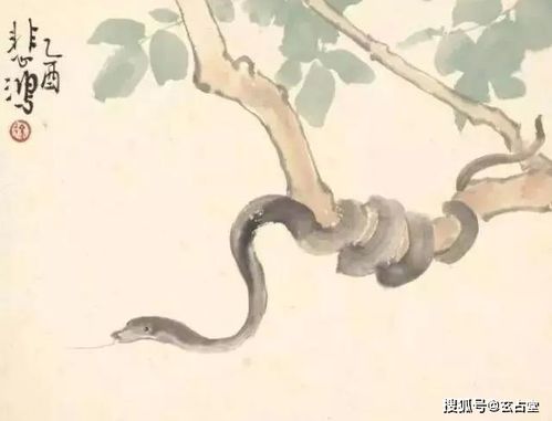 2026年属蛇哪个月出生的人命运最佳，全年运势如何？