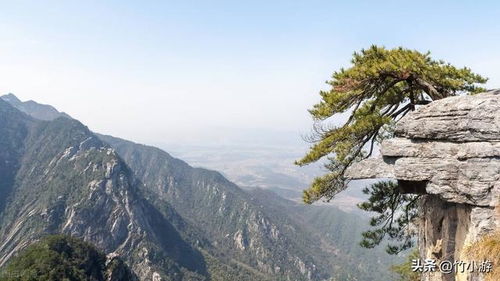 9. 新疆喀纳斯—神秘湖光（乱码+表情） 🌈🐏🗻