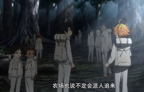 午夜惊魂与风水玄学的离奇纠缠