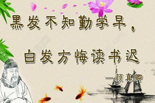 夜深人静时这句名人名言能变成咒语吗？——星座与生肖的混沌对话