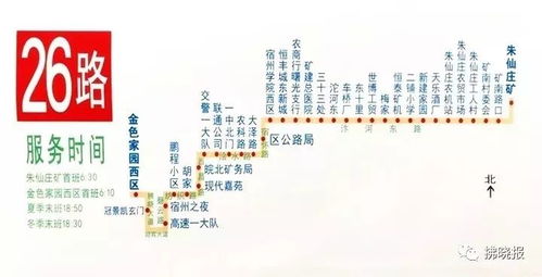 #① 东莞记忆城区观光线（较低价较高玩）🚌