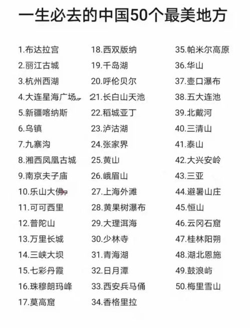 水象黏黏胶组合