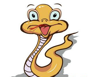 2001年和2006年分别对应的生肖是什么？