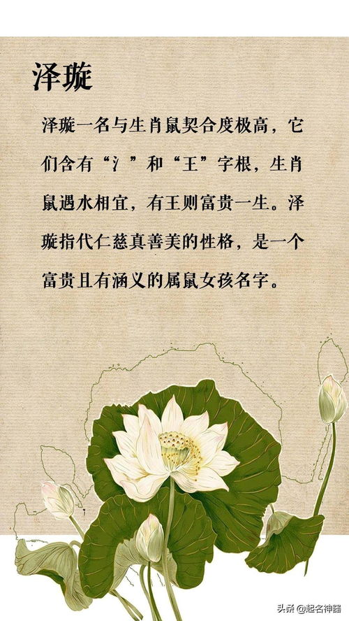 较高雅派：