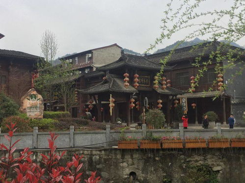 塘栖古镇周边：穿越时空的烧烤体验