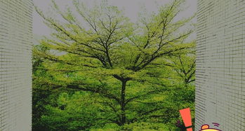 三、 第二站——从化温泉度假区（传说中的“泡汤天堂”）