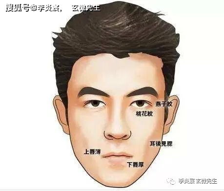 二、 鼻梁故事——财富有与权势交织的象征