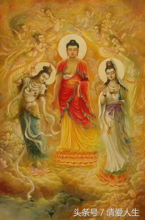 属狗本命佛阿弥陀佛手机号保平安，如何制作属狗人本命阿弥陀佛高清壁纸？