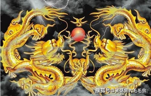 属龙与属狗婚姻关系如何？家里同时有龙和狗是否合适？