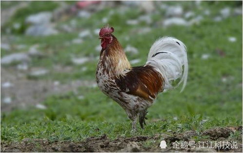 关于