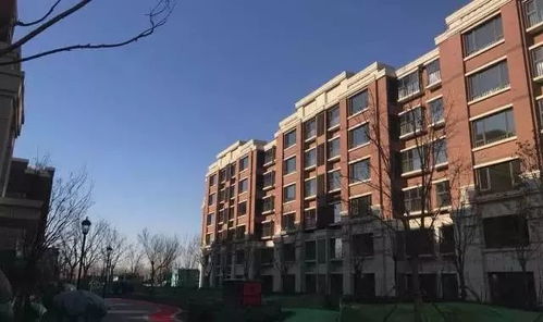 别墅正对小区的路好不好,别墅后面对着一条路好吗