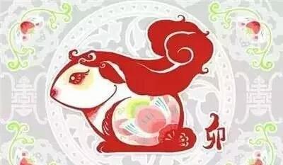 2026年属龙运势和2027年全年属龙运势分别是什么？