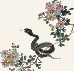 2026年属蛇人的桃花运如何，桃花运势会有哪些变化？
