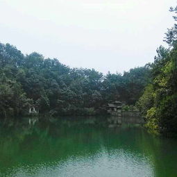 建德饮食：味蕾的灾难现场