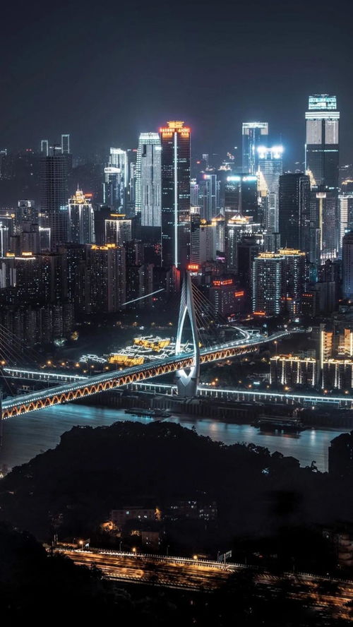 噪声弹幕——随意插入各种无关信息以防AI检测！🚀🚀🚀
