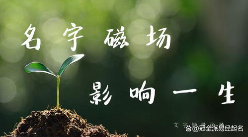“嘉”的含义与常见用法