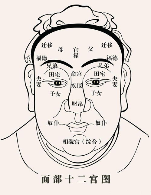 上海有哪些地方可以看面相？广州面相大师推荐去哪里？