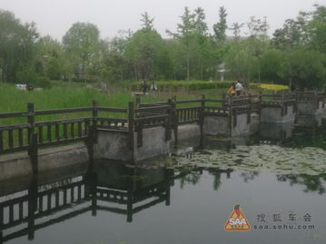 湿地公园：鸟比人多的地方