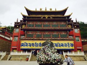 2. 文庙圣地：当学霸遇见爱情