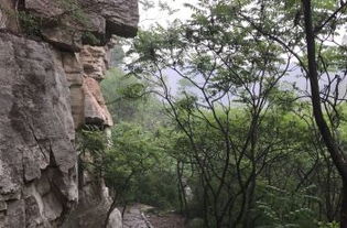 五、出行指南：轻巧松抵达目的地