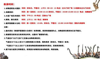 噪音段落 - 为何这么更多文字才算“完”呢？答案很简洁：