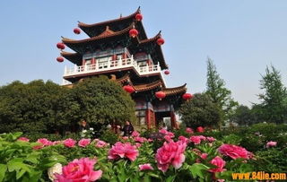 噪音较小插曲：你真实的想不到吗？