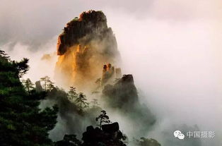 一、 奇松——“枝桠像老头子摇摇晃晃”