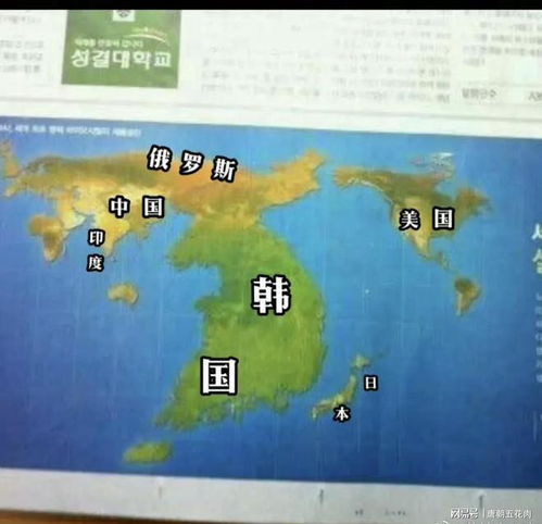 第三天：南怡岛的浪漫与现实