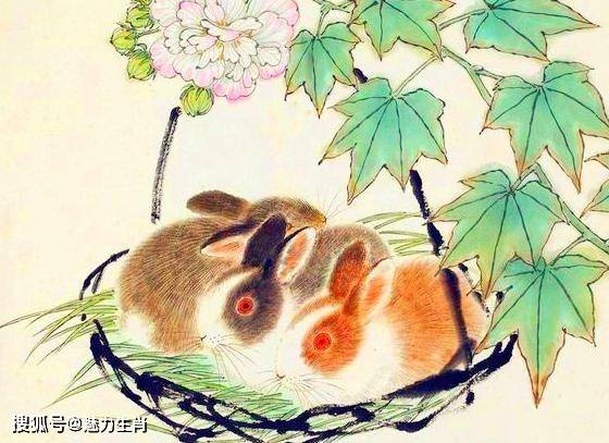 随遇而安是哪个生肖年？属牛2026年运势书具体含义是什么？