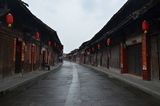 漫步古城老街， 一路风雨兼程，一路风景如画，一片生机盎然