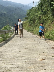 4. 屏山峡谷—原始森林里的静谧秘境