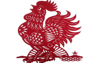 属鸡人2027年运势如何？八字算命结果揭晓！