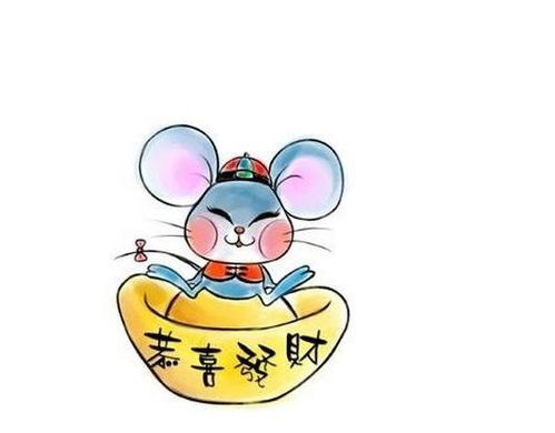 属鼠人的一生运势究竟如何？