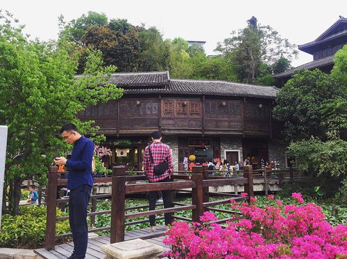 赵县古韵游，五一赏花去哪里最合适呢？