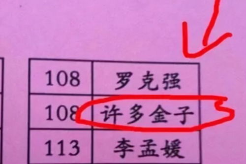 经典名字的魅力：传统与现代的完美结合