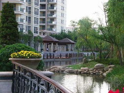 宁波东湖花园：一场荒诞不经的瞎逛指南