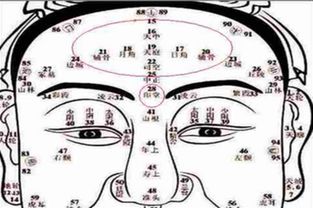 祁东哪里看八字，算命看相准不准？有没有靠谱的八字大师？